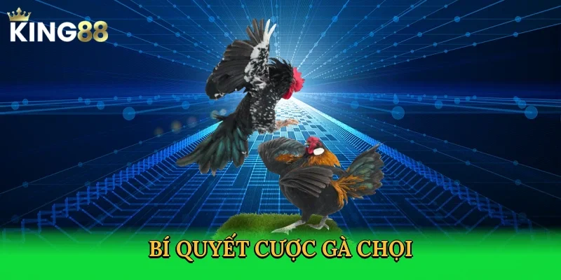 bi-quyet-cuoc-ga-choi-4
