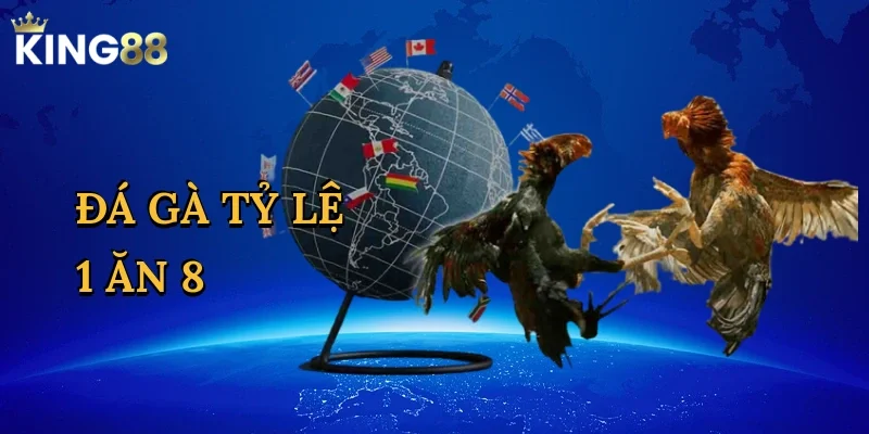 da-ga-ty-le-1-an-8-1