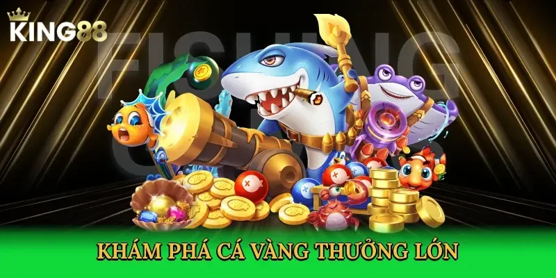 kham-pha-ca-vang-thuong-lon-2