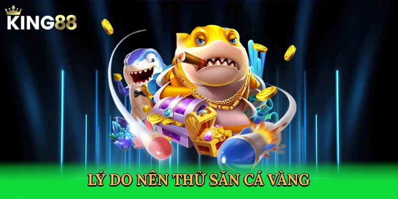 ly-do-nen-thu-san-ca-vang-3