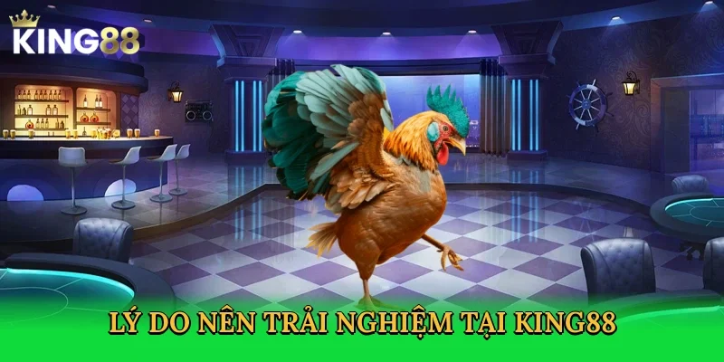 ly-do-nen-trai-nghiem-tai-king88-3