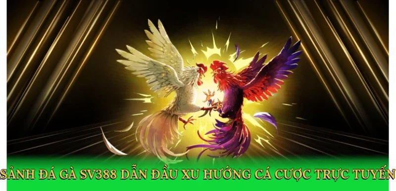 Sảnh đá gà SV388 dẫn đầu xu hướng cá cược trực tuyến